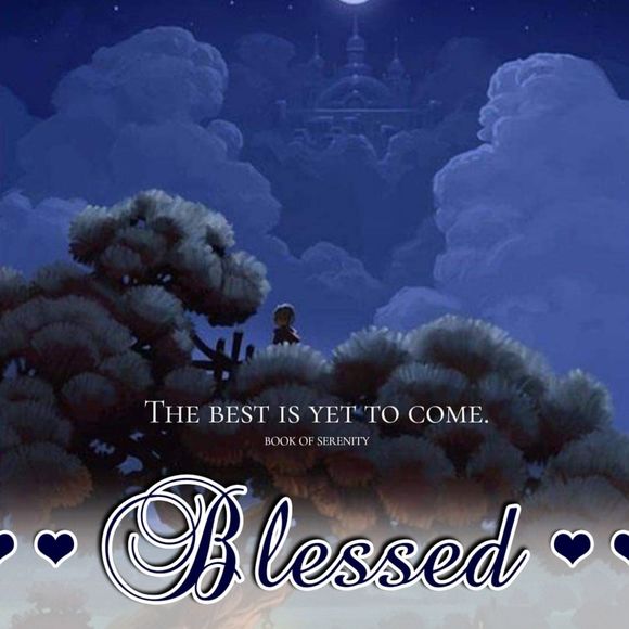 Meet your Posher, Lee - Picture 1 of 1